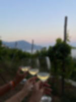 Food & Wine Tours Amalfi: Walk in the coastal terraces