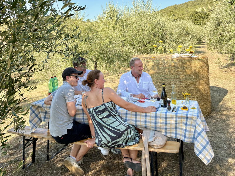 Tour enogastronomici Cortona: Tra gli ulivi di Cortona: scopri l'esperienza dell'olio 