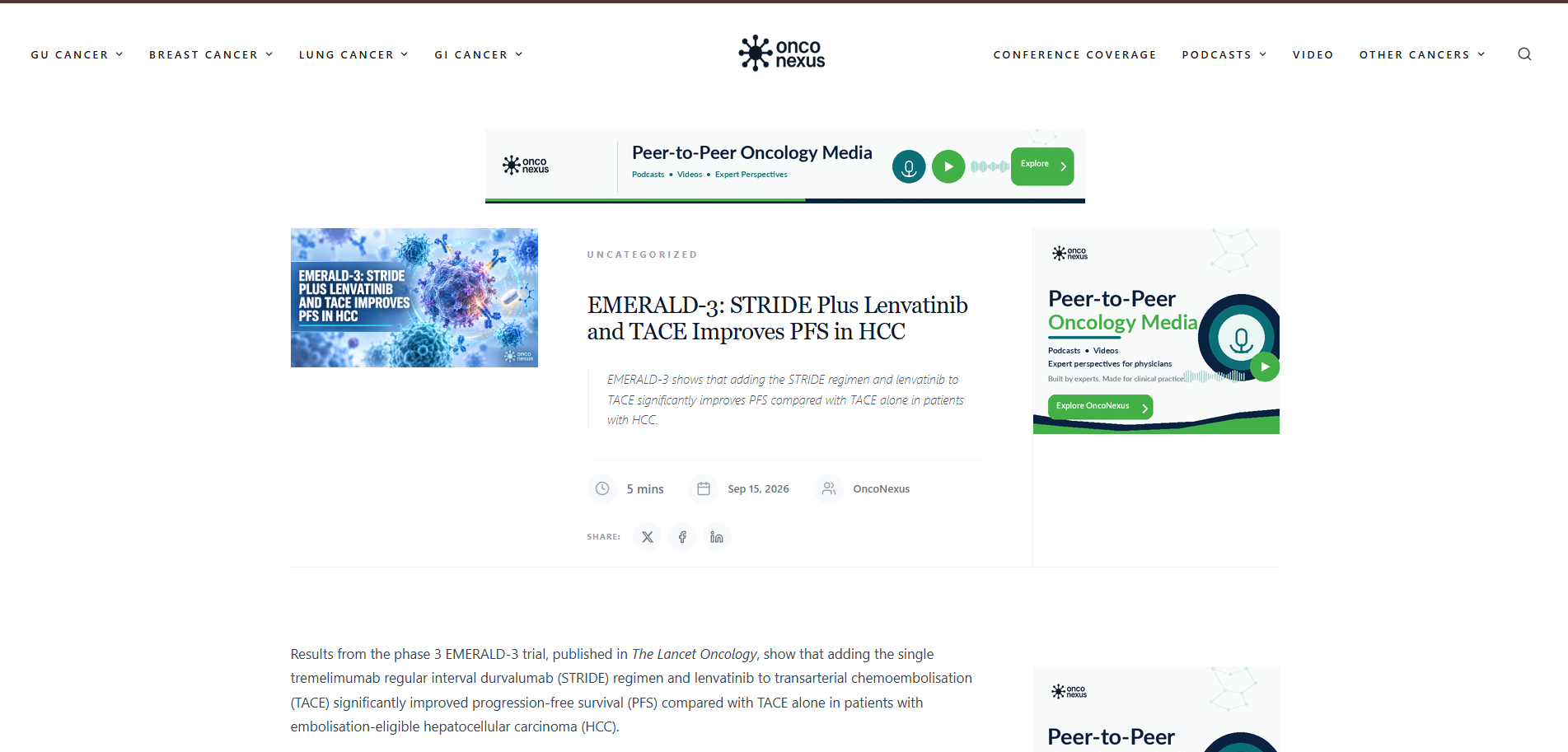 Elasticsearch developers developer - Pedro M.'s portfolio image