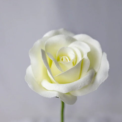 White Velveteen Rose Bloom - Realistic Artificial Flowers - Image 3