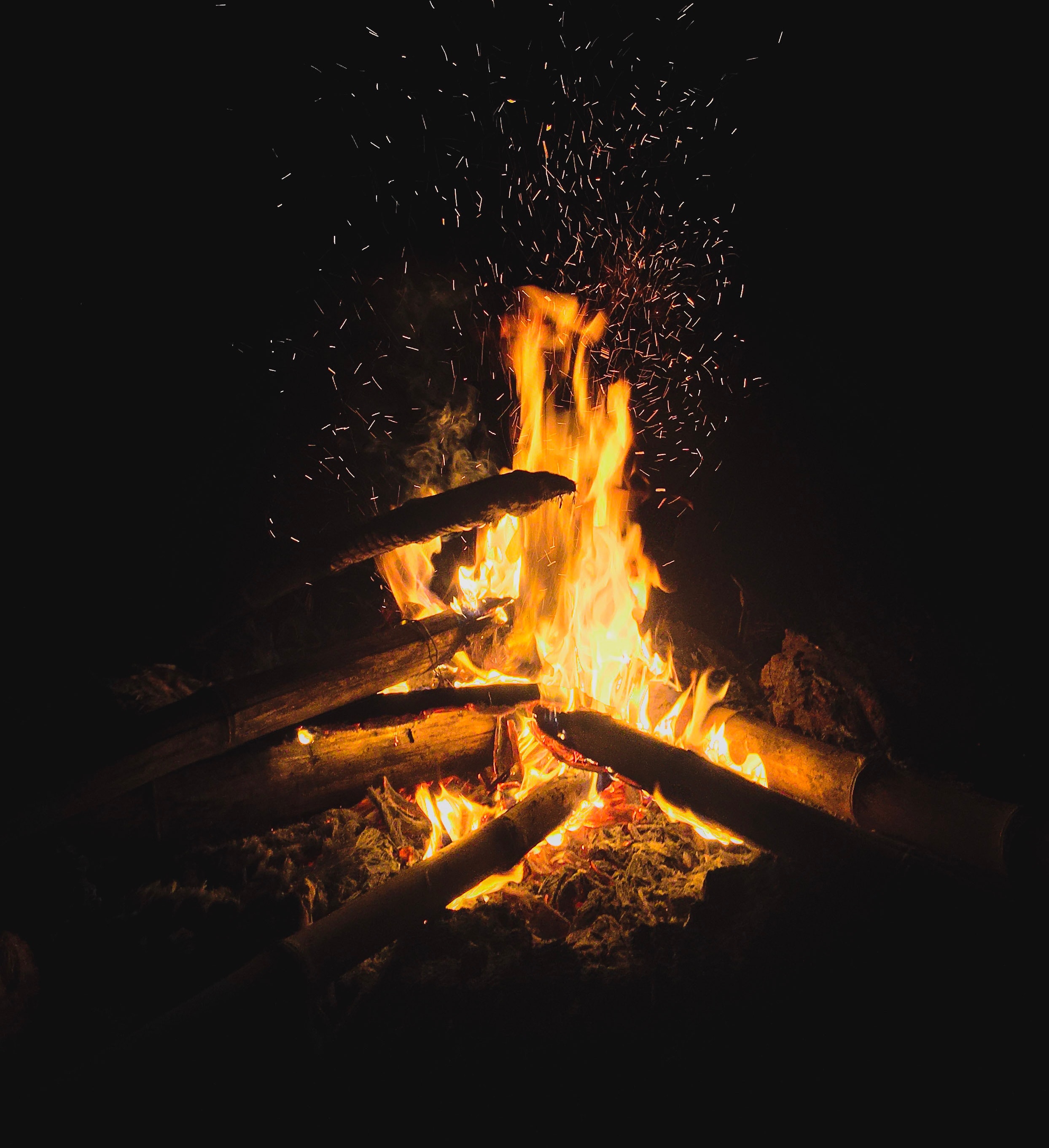 Additional Firewood Bundle image