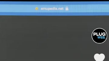 Main Content Image