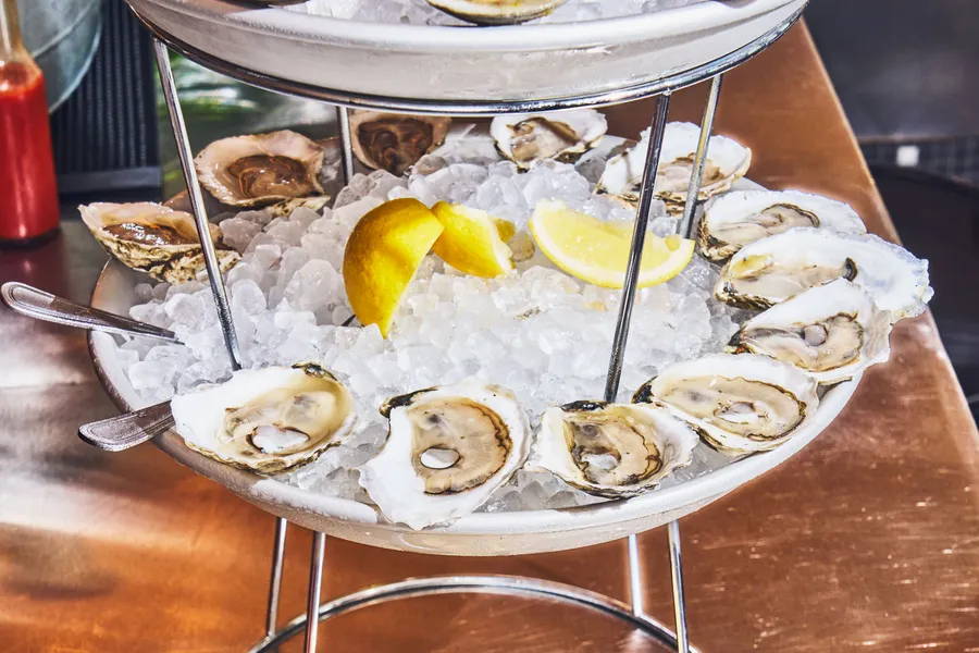 Oysters arranged on a plate with ice