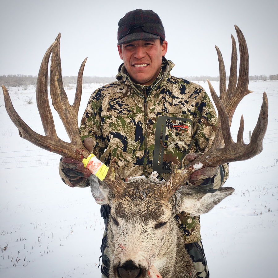 Mule Deer 4