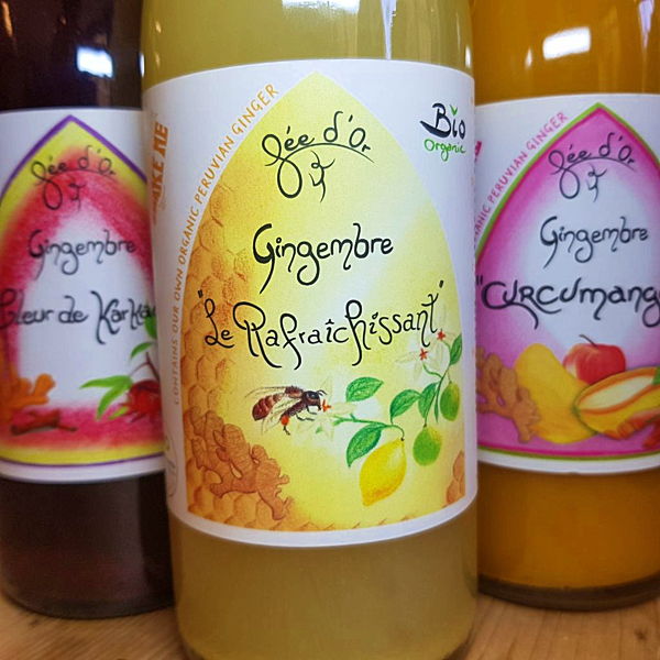 jus-de-gingembre-le-rafraichissant