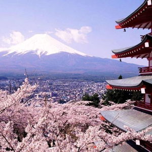 Our Honeymoon Fund to Japan! - Venmo