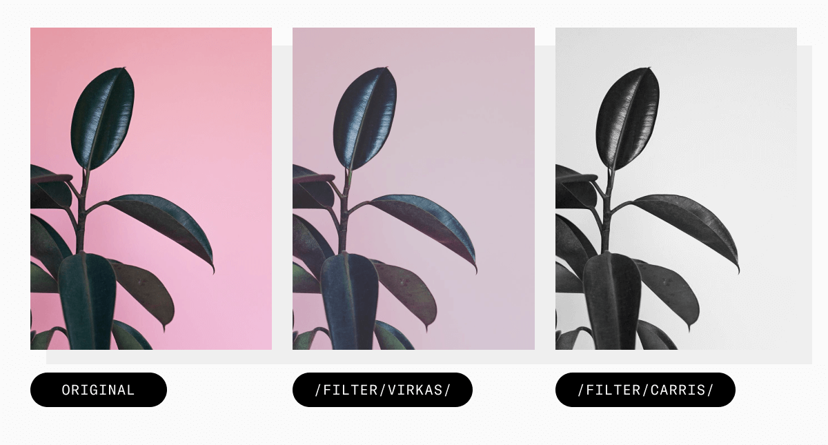 turning a bright image into a minimalistic one