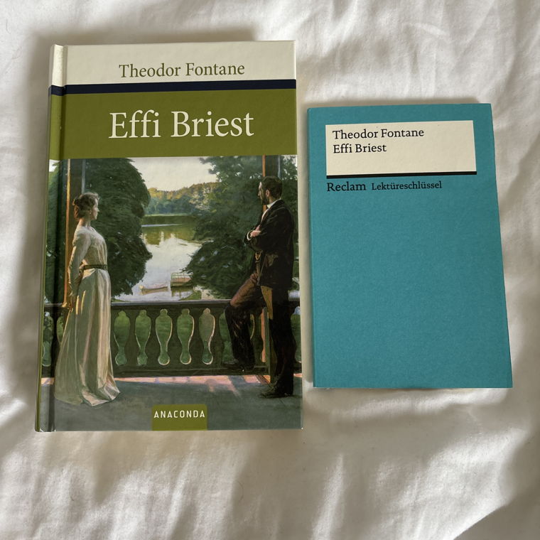 Buch Effie Briest 