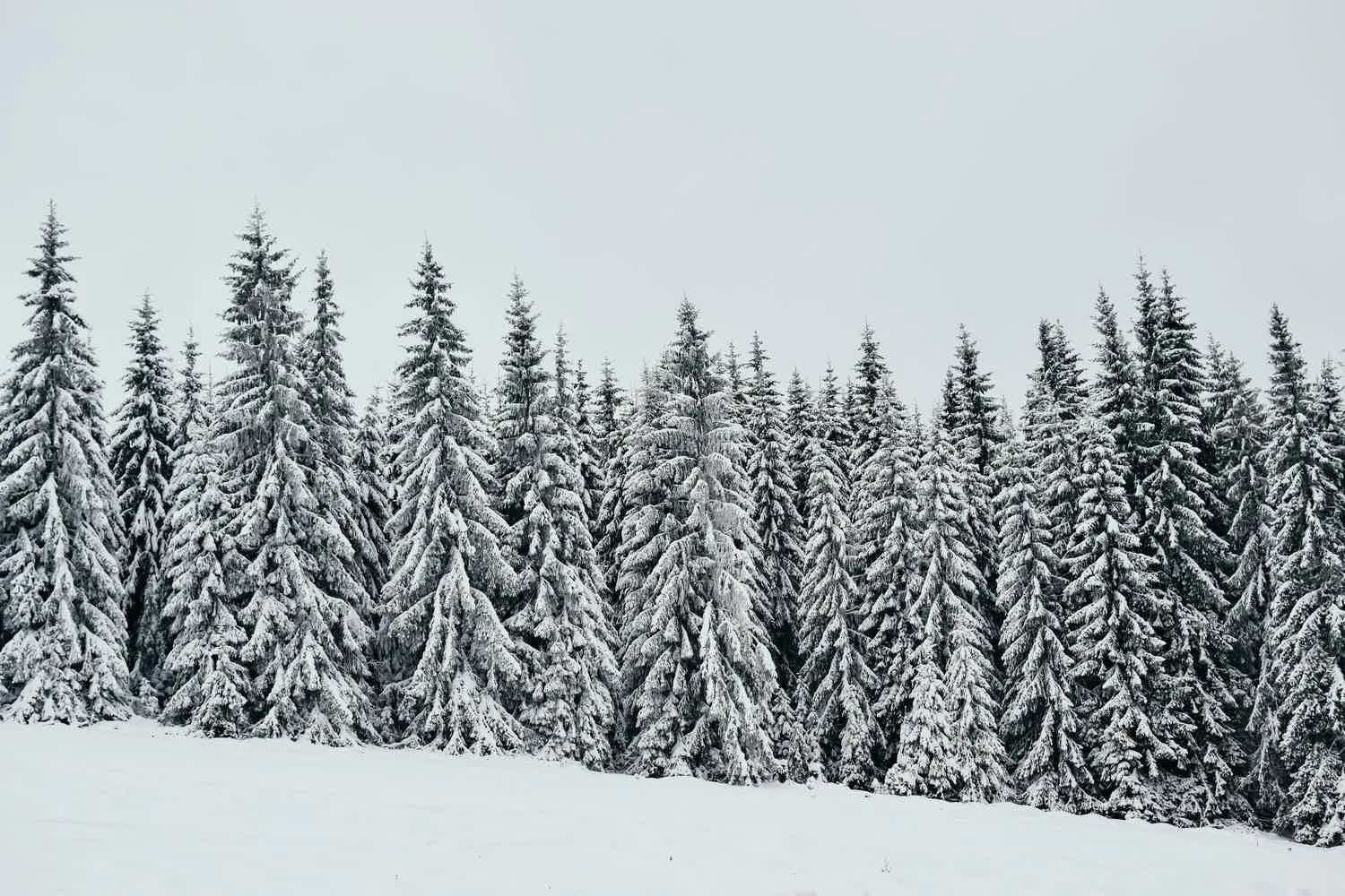 Skiing to Uplift Your Mood