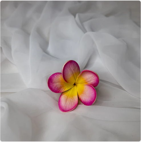 Light Pink Frangipani Flowerhead (6 Pack) - Realistic Artificial Flowers - Image 4
