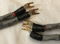 MIT Cables MH-750 Shotgun Bi-Wire Speaker Cables. 8ft (... 5