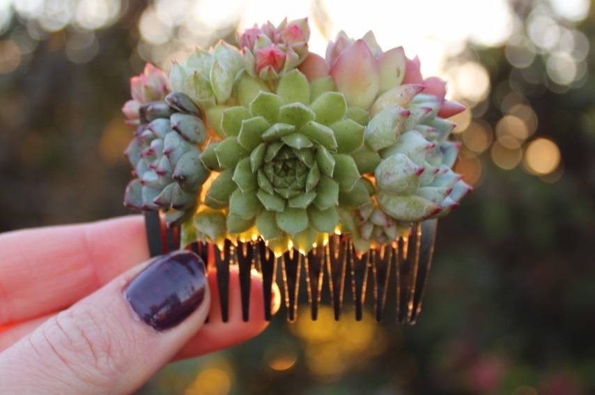 succulent wedding comb bride