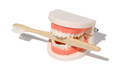 Montessori Brushing Teeth.