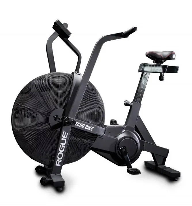 Rogue Echo Bike