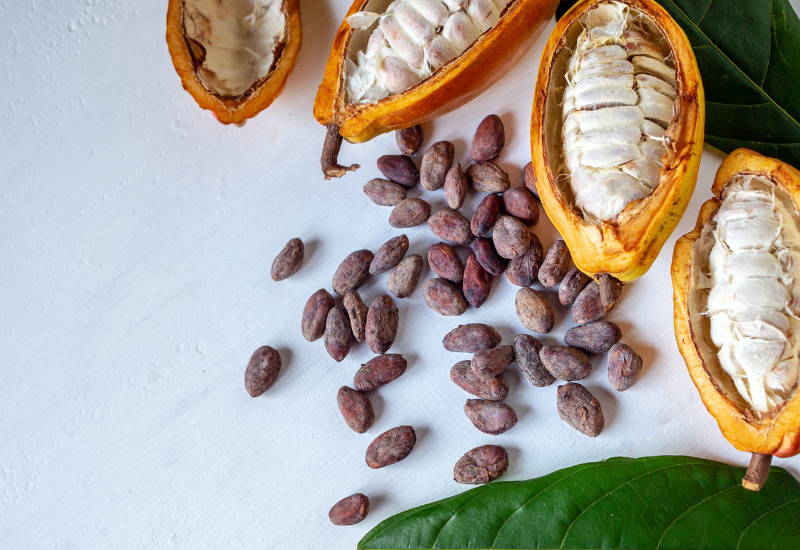 カカオ豆とは