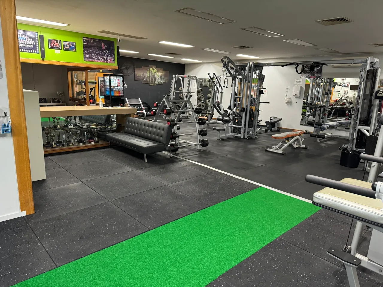 Dynamic Muscle and Fitness - Image 5