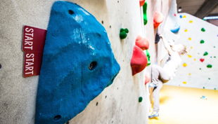 der steinbock boulderwand start blau