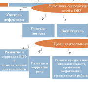 Методы образования лиц с овз схема