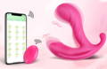 remote control vibrator guide