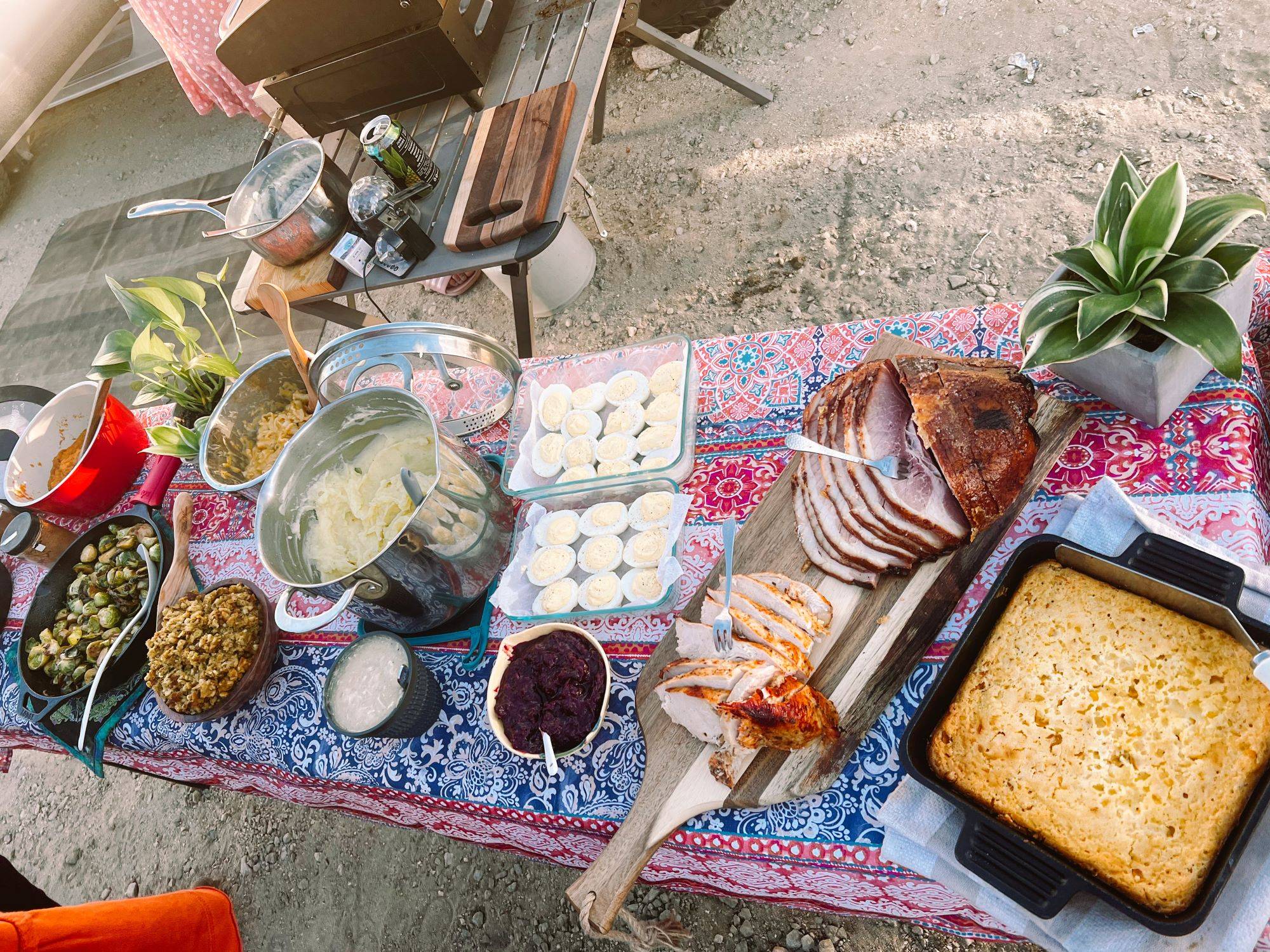A thanksgiving feast prepared by seven solo female vanlifers