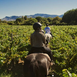 Honeymoon Excursion - Boschendal Horseback Tour