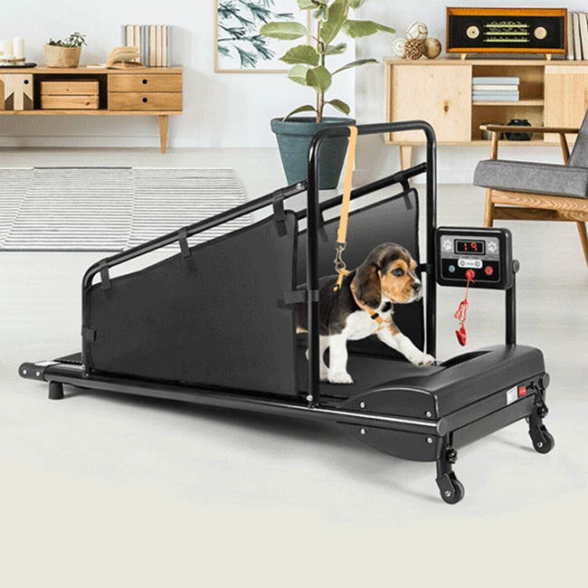 Indoor Outdoor Pet Dog Treadmill For Small And Medium Dogs