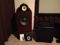 Bowers & Wilkins B&W 801Ds/HTM1D Speakers 5