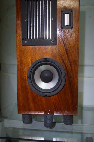 Landes Silencer Speaker, turntable, electronic isolation