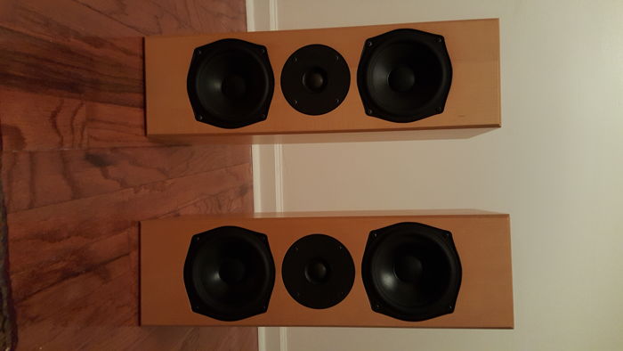 Totem Acoustics Mite T Speakers