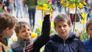 die stadtdetektive kinder ap