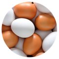 Brown and White Eggs: A Natural Source of Biotin found in the Best Hair Skin Supplements