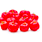 organic acerola cherry