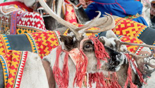 museum fuer voelkerkunde