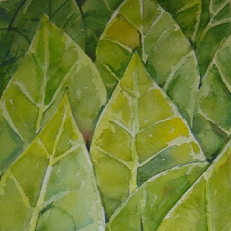 Subhranil Biswas cover