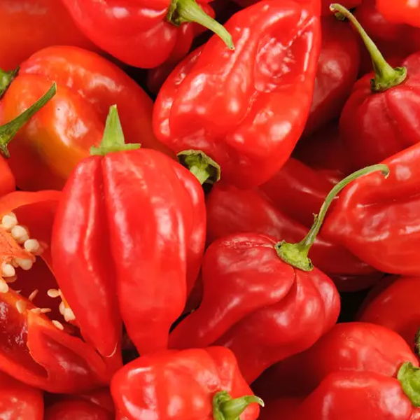 piment-antillais