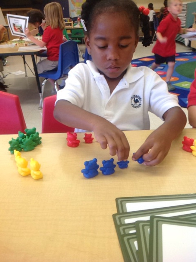 Young Primrose student sorts little figures by color in class