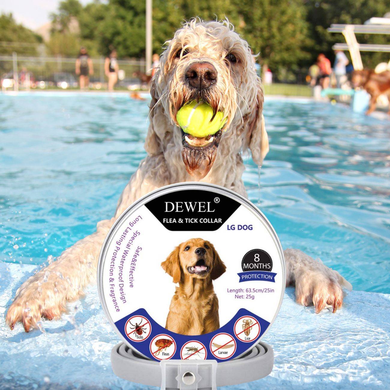 Pet Care