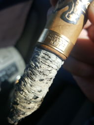 Nice Ash