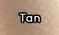 Tan Color Swatch