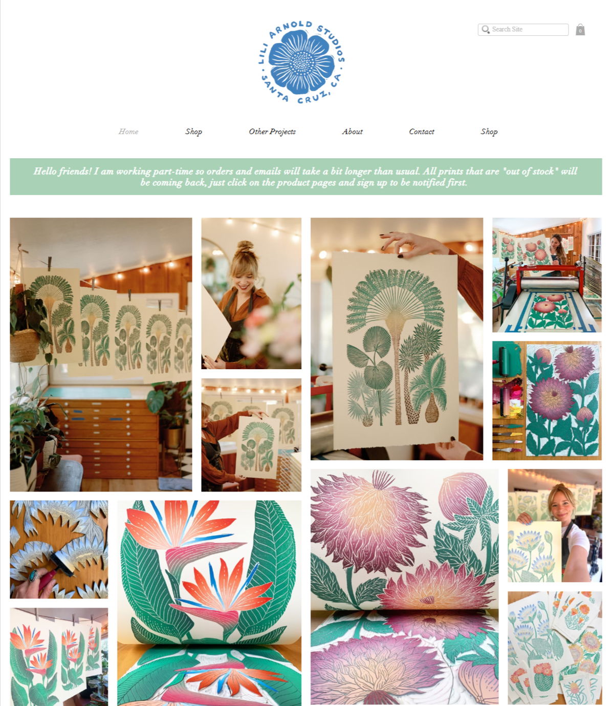 Screenshot of Lili Arnold, from the wix artist website examples collection.