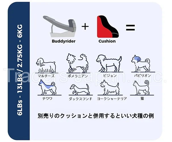 小型犬