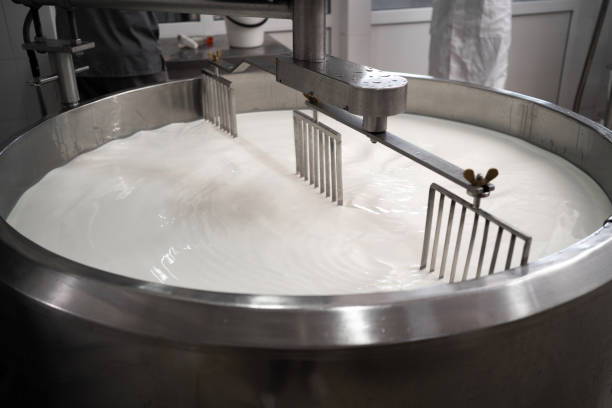 best form of camel milk