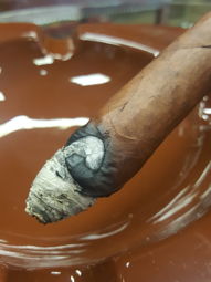 Cigar Session Photo