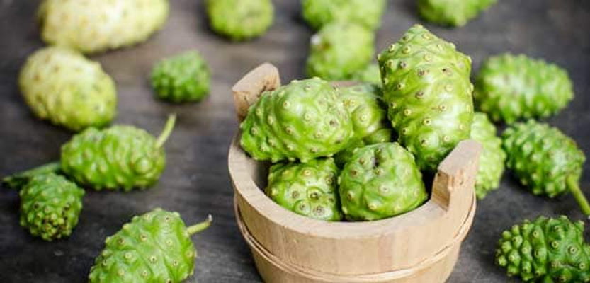 10 Facts About the Healing Noni Fruit