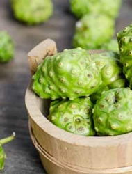 10 Facts About the Healing Noni Fruit