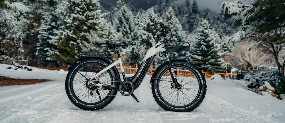 Denago with a Bafang motor in the snow