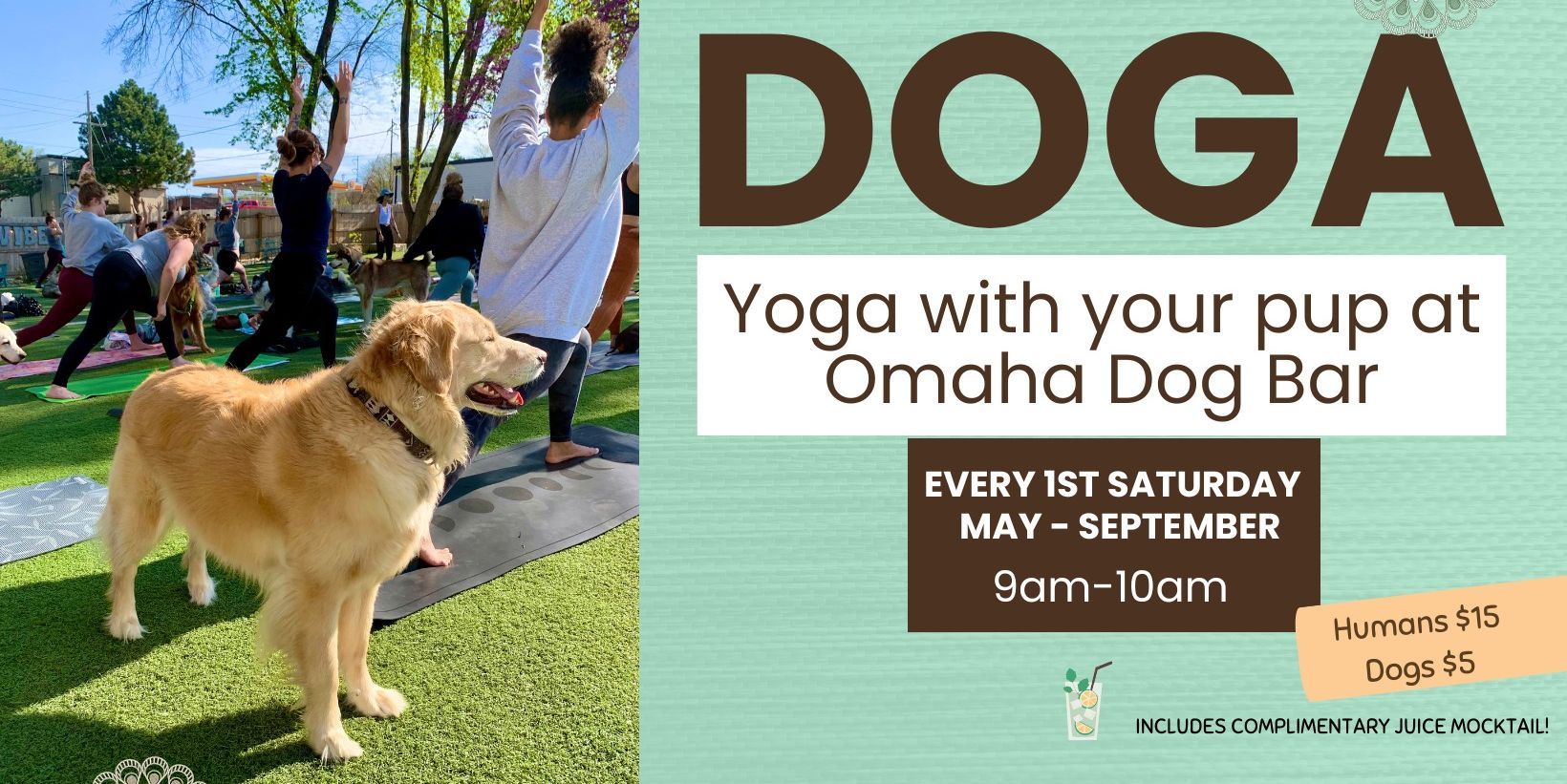 Doga at Omaha Dog Bar promotional image