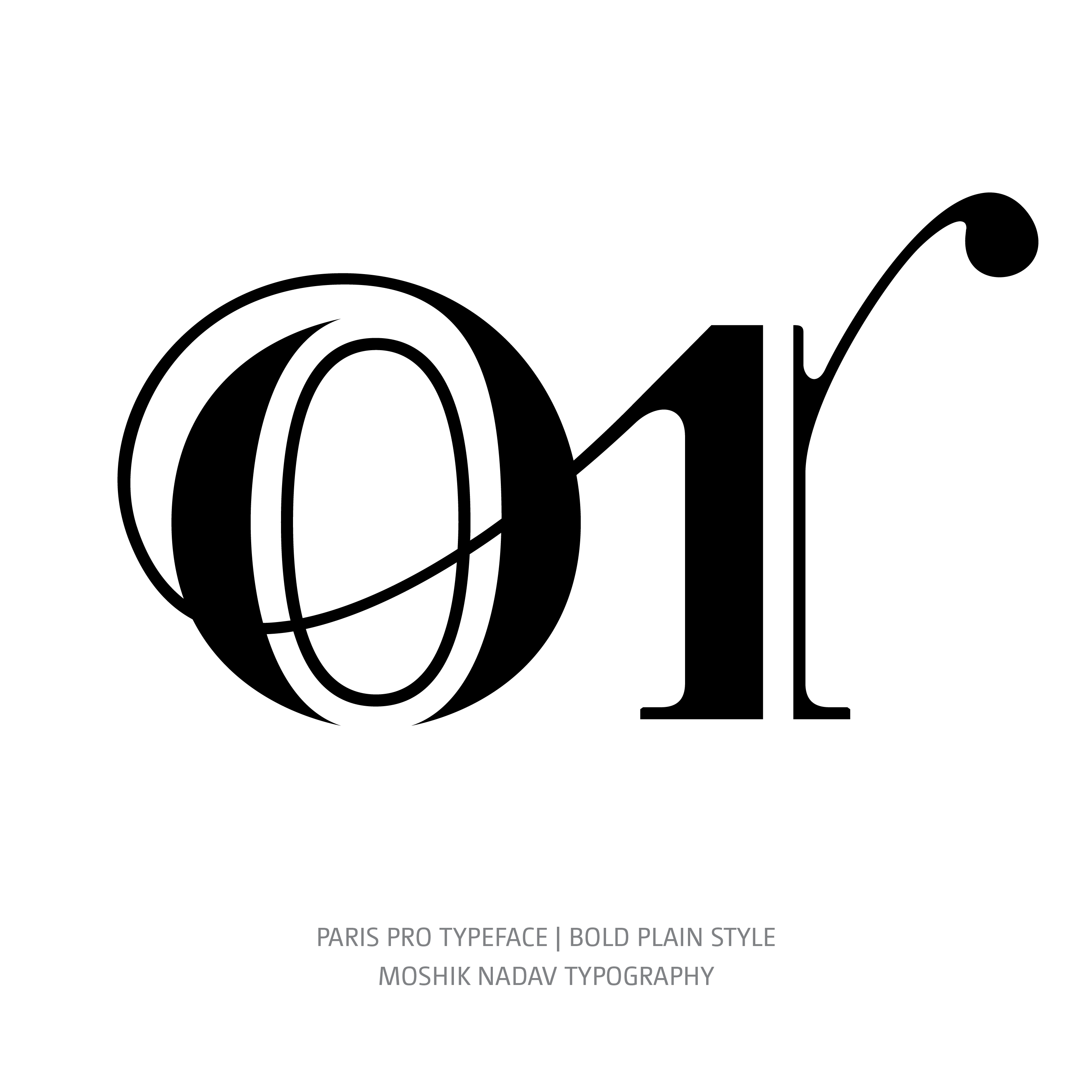 Paris Pro Typeface Bold or ligature
