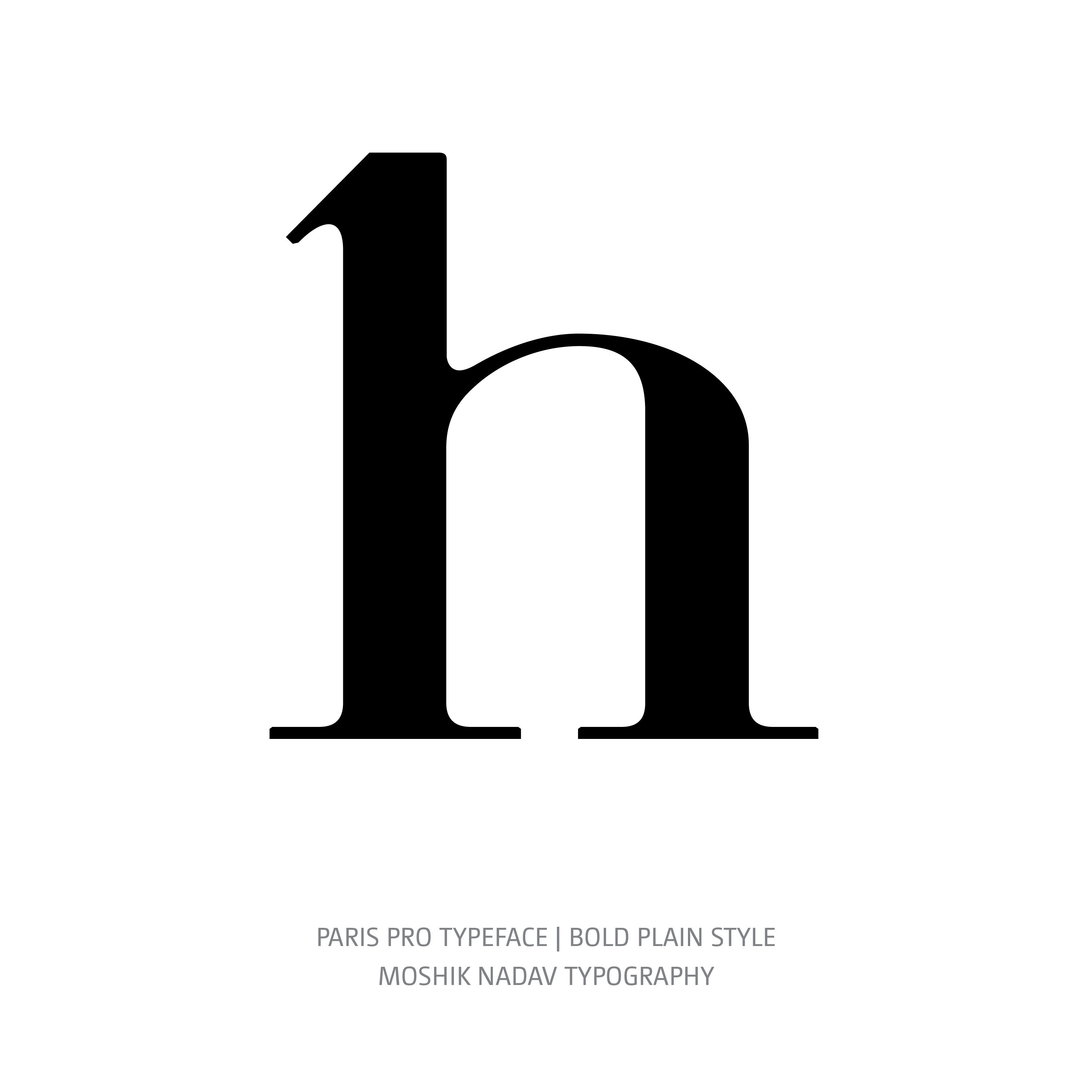 Paris Pro Typeface Regular Bold h