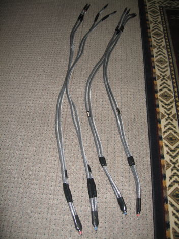 VIRTUAL DYNAMICS  Revelation 2.0 Bi-Wire Speaker Cables